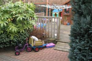 Before from project Small Garden In Cabinteely